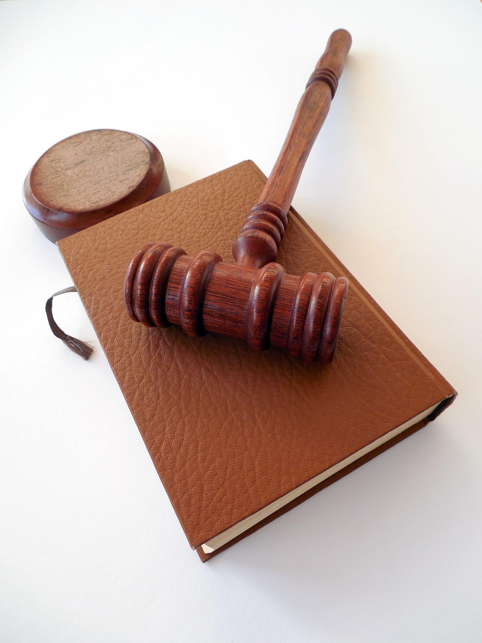 hammer, books, law, dish, lawyer, paragraphs, regulation, court of justice, a book, §, code, law books, judge, order, paragraph, rule, disposal, auction, law, law, law, law, law, lawyer, lawyer, judge, judge